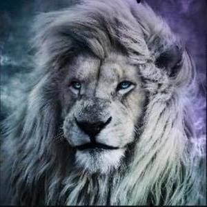 Meet your Posher, Noor